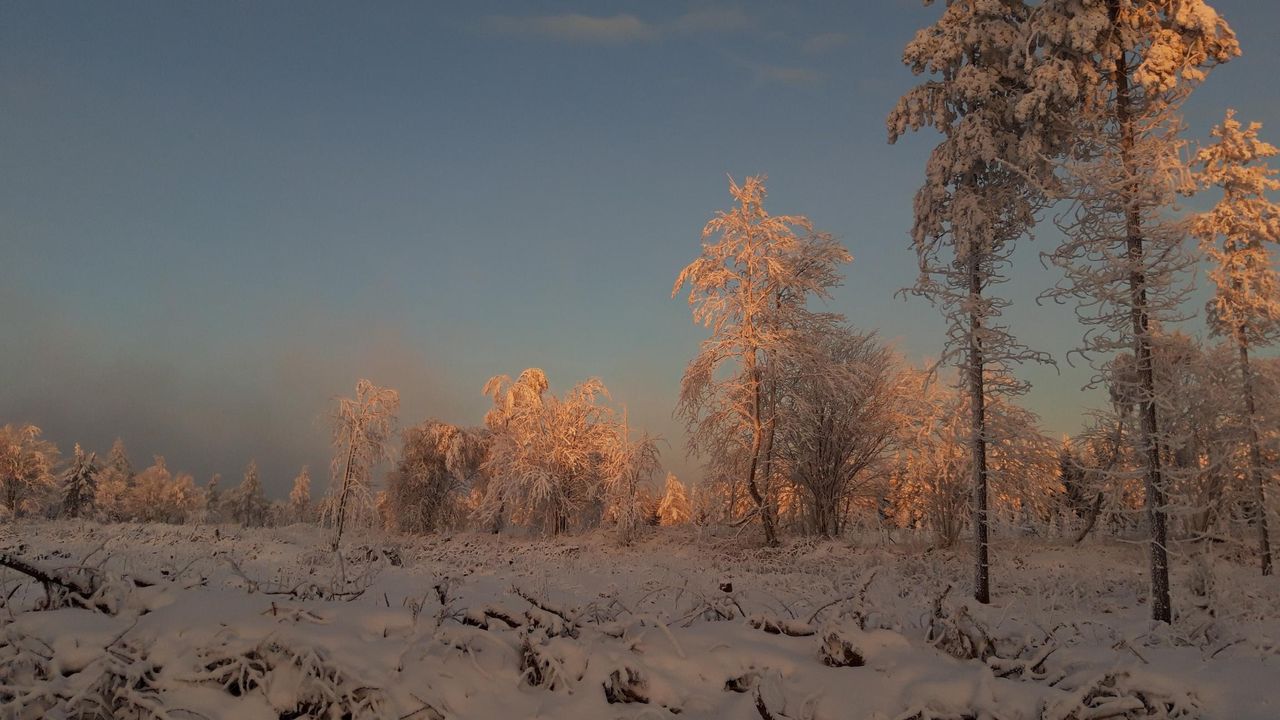 20211212_080913_resized 20211212_080913_resized